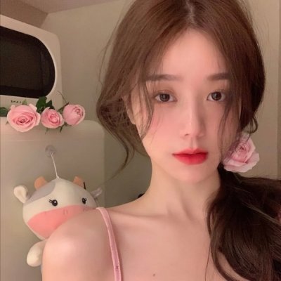 哈吉布基的森林冒险
